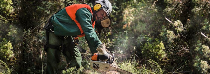 prodotti antinfortunistica DPI per boscaiolo operatore forestale motosega