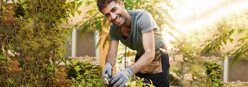 Prodotti antinfortunistica e DPI per giardiniere